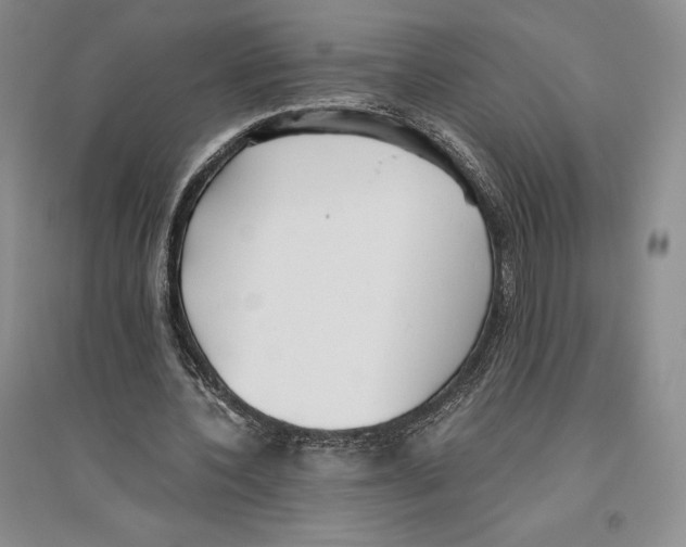 X0000096180532200802151443