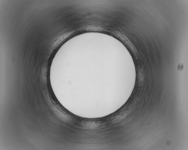 X0000096180533200802151443