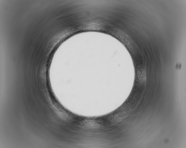 X0000096180534200802151443