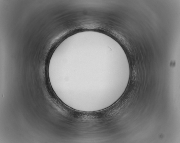 X0000096180535200802151443
