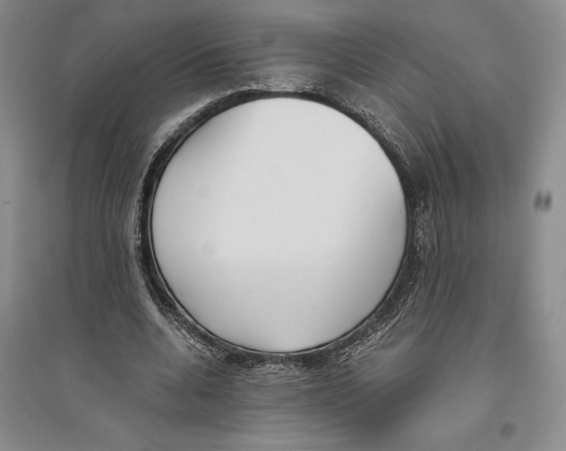 X0000096180536200802151443