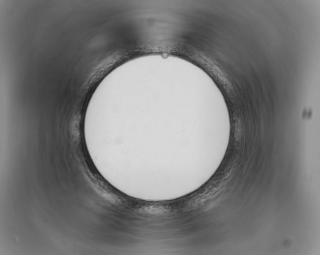 X0000096180537200802151443