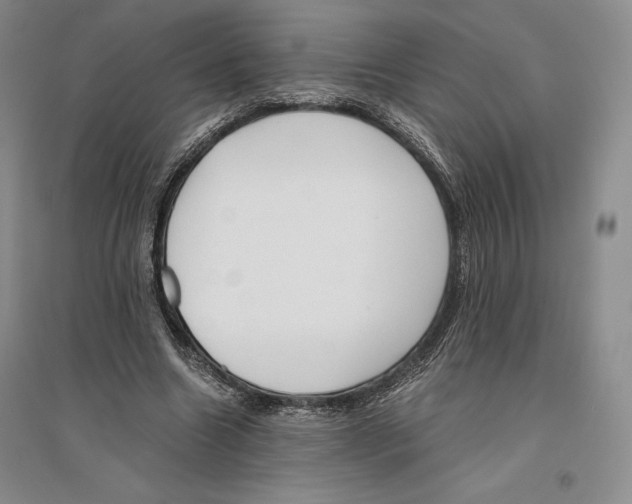 X0000096180538200802151443