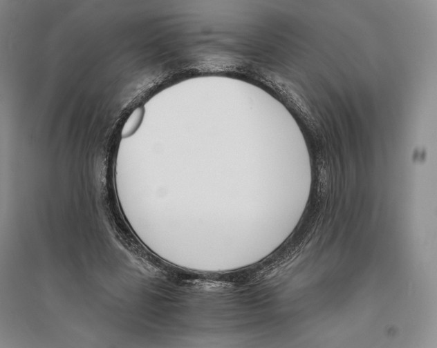 X0000096180539200802151443