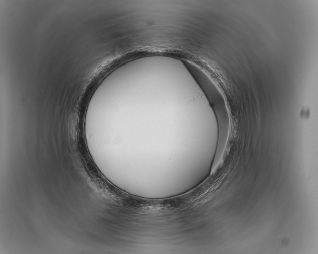 X0000096180540200802151443