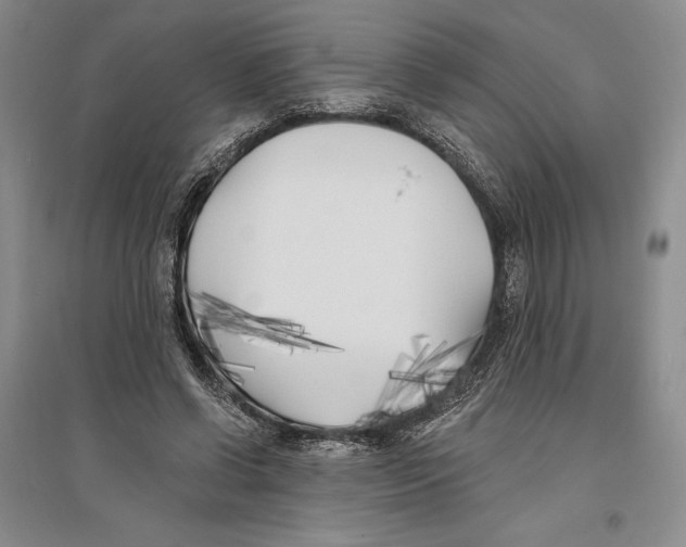 X0000096180542200802151443