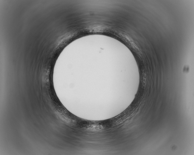 X0000096180543200802151443