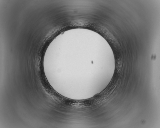 X0000096180544200802151443