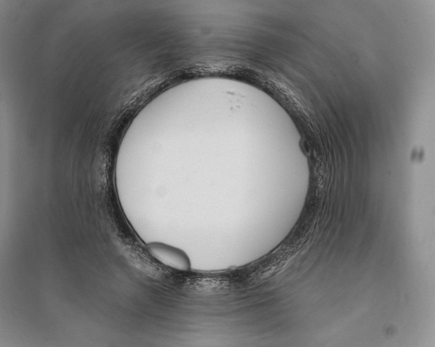 X0000096180546200802151443
