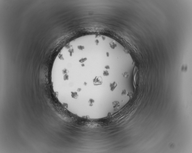 X0000096180547200802151443