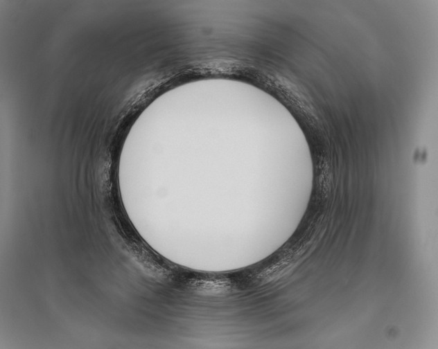 X0000096180548200802151443