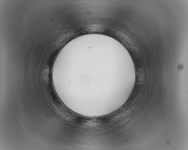 X0000096180550200802151443