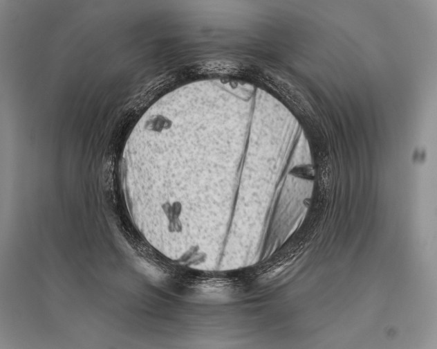 X0000096180551200802151443
