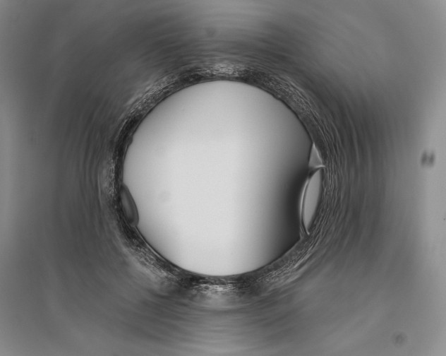 X0000096180552200802151443