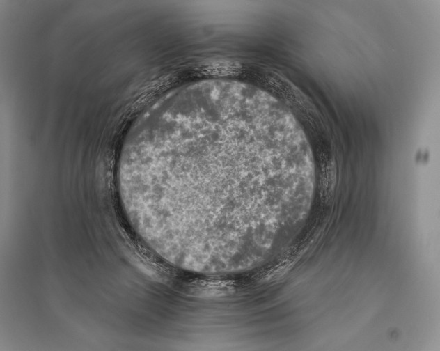 X0000096180553200802151443