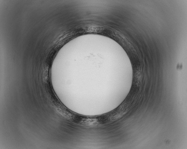 X0000096180554200802151443