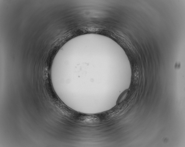 X0000096180555200802151443