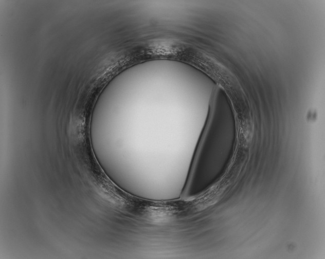 X0000096180556200802151444