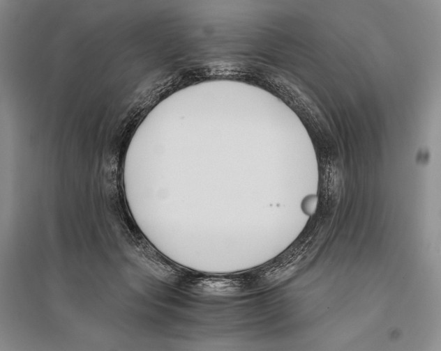 X0000096180557200802151444