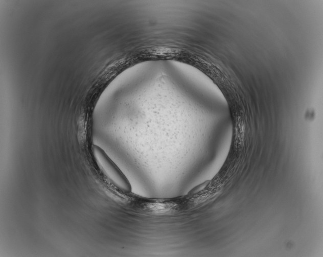 X0000096180558200802151444