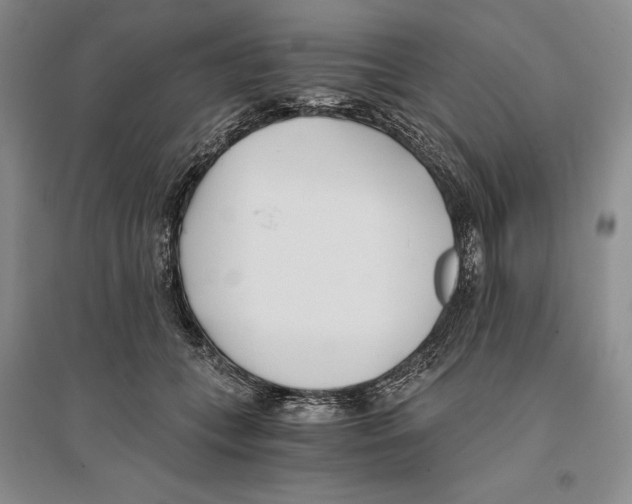 X0000096180559200802151444