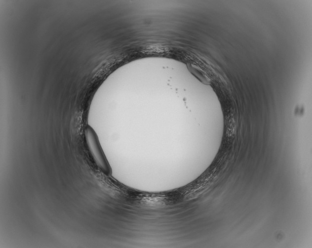 X0000096180560200802151444