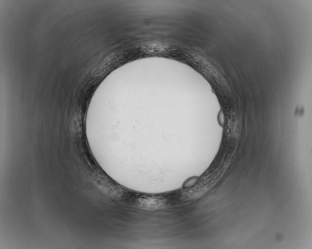 X0000096180561200802151444