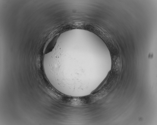 X0000096180562200802151444