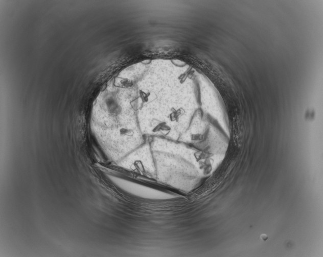 X0000096180563200802151444