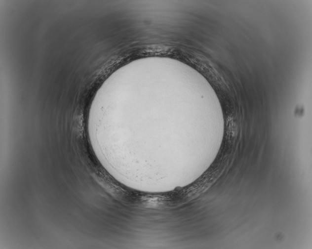 X0000096180564200802151444