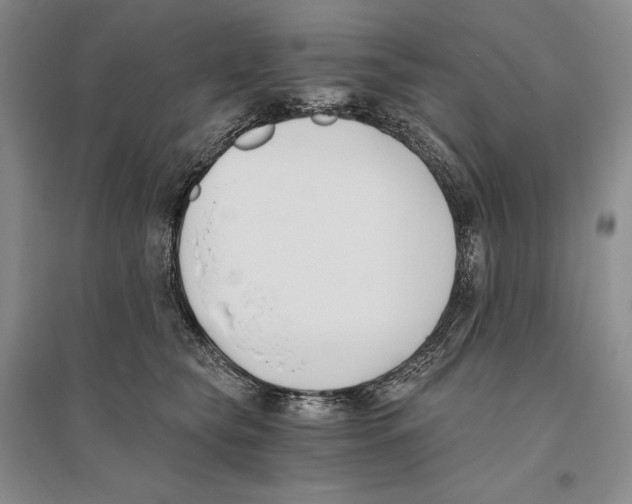 X0000096180565200802151444