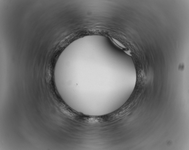 X0000096180566200802151444