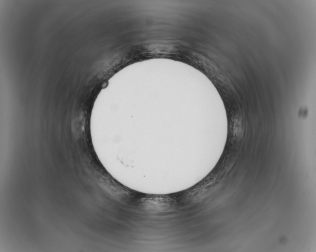 X0000096180567200802151444