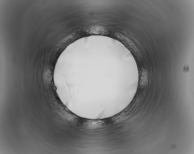 X0000096180569200802151444