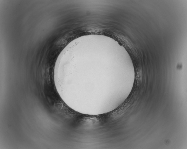 X0000096180572200802151444