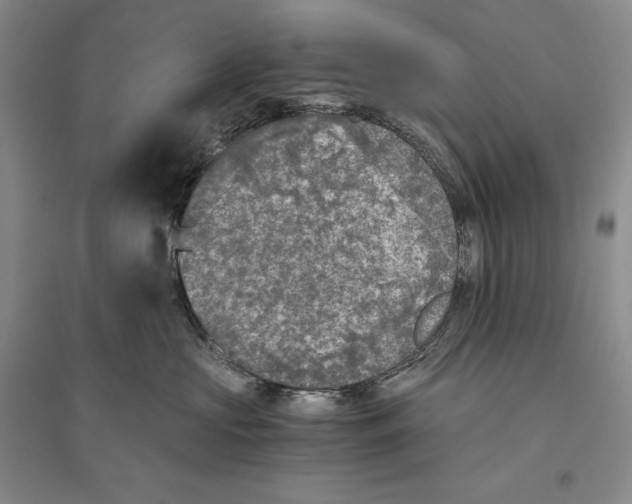 X0000096180573200802151444