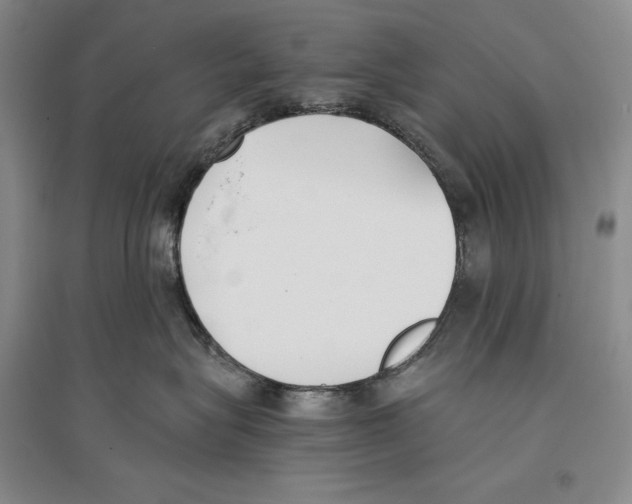 X0000096180575200802151444
