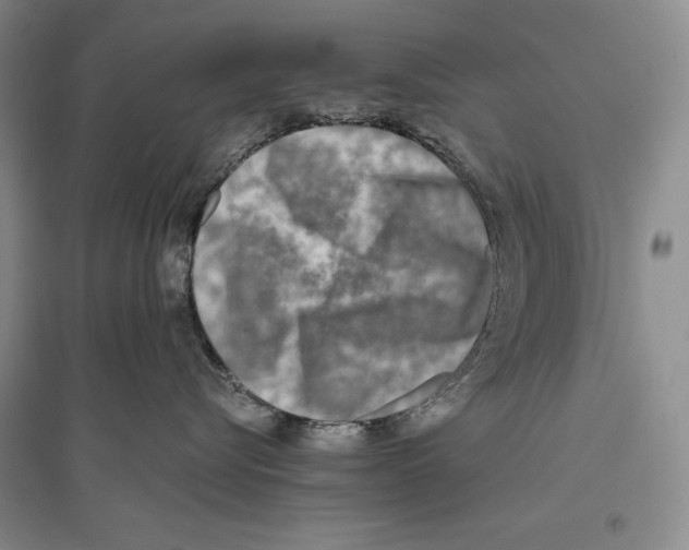 X0000096180576200802151444