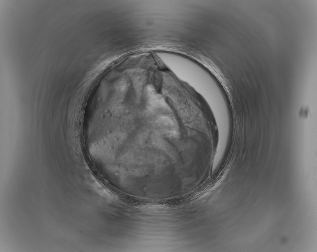 X0000096180577200802151443