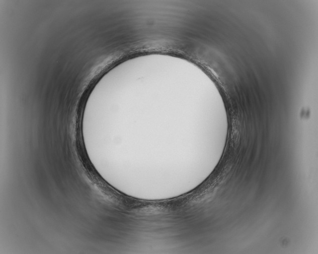 X0000096180578200802151443