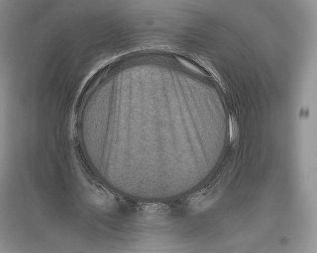 X0000096180579200802151443