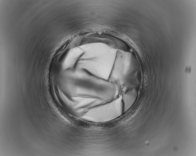 X0000096180581200802151443