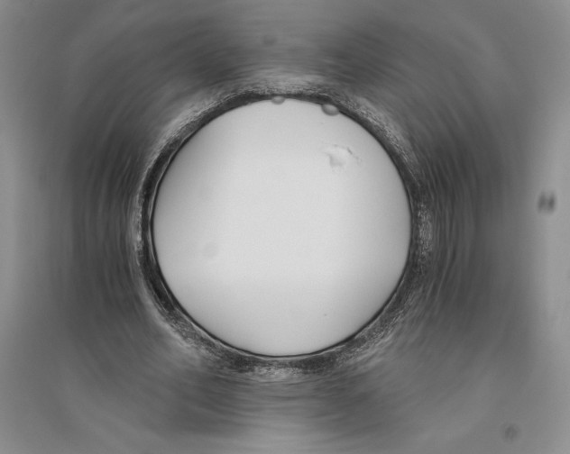 X0000096180582200802151443