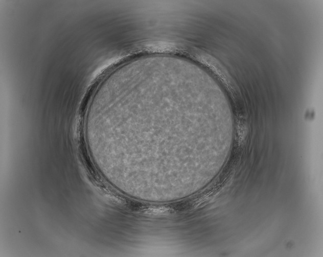X0000096180583200802151443