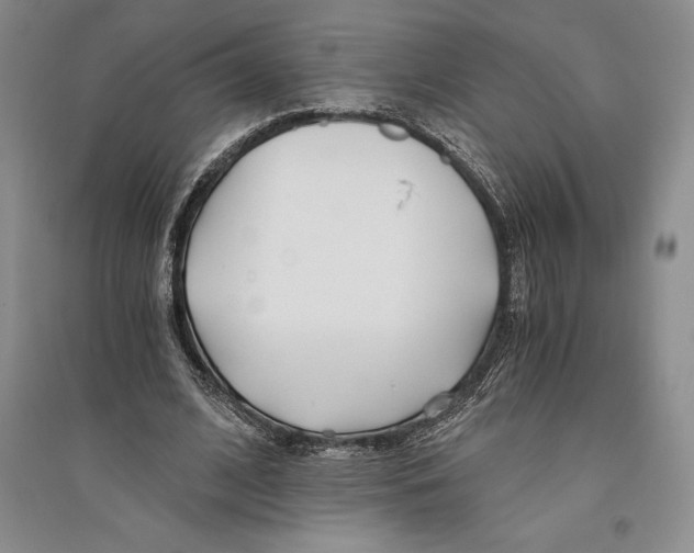 X0000096180584200802151443