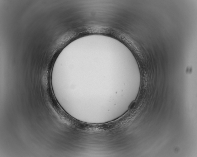 X0000096180586200802151443
