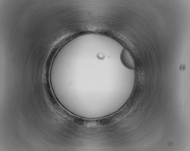 X0000096180587200802151443