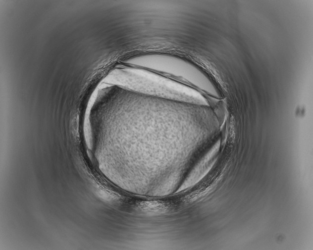 X0000096180589200802151443