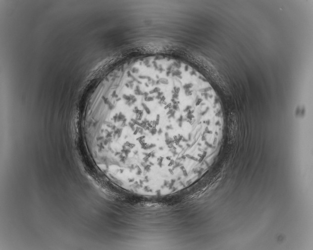 X0000096180590200802151443