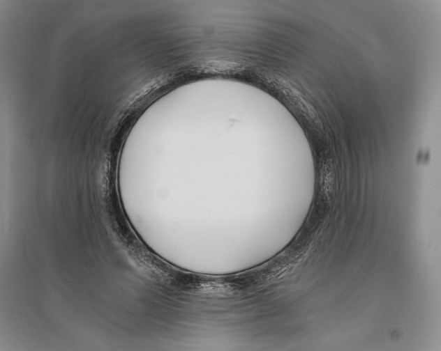 X0000096180591200802151443